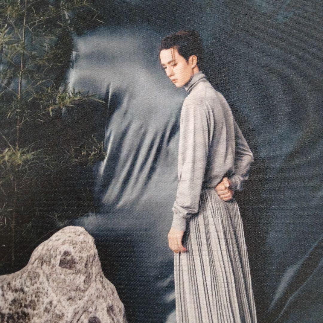 Amazon.co.jp: ①③王一博 マウスパッド 陳情令 肖战 肖戦 シャオ